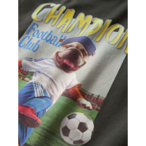 NAME IT T-shirt Laus Peat